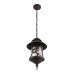 Уличный подвесной светильник Loft IT Prato 100021P