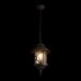 Уличный подвесной светильник Loft IT Prato 100021P