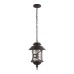 Уличный подвесной светильник Loft IT Prato 100021P