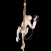 Подвесной светильник Loft IT Monkey 10314P