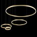 Подвесной светодиодный светильник Loft IT Ring 10017/4L