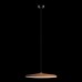 Подвесной светильник Loft IT Plato 10119 Orange