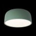 Потолочный светильник Loft IT Axel 10201/350 Green