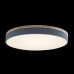 Потолочный светильник Loft IT AXEL 10001/36 Grey