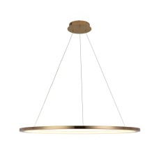Подвесной светодиодный светильник Loft IT Ring 10014XL