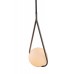 Подвесной светильник Loft IT GLOB LOFT2599-B