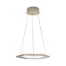 Подвесной светильник Loft IT Ring 10016S