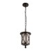 Уличный подвесной светильник Loft IT Ravenna 100016P