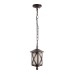 Уличный подвесной светильник Loft IT Ravenna 100016P