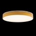 Потолочный светильник Loft IT AXEL 10001/36 Yellow