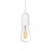 Подвесной светильник Loft IT Sherwood 10091