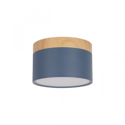Накладной светильник Loft IT Grape 10162 Blue