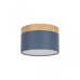 Накладной светильник Loft IT Grape 10162 Blue