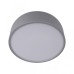 Потолочный светильник Loft IT Axel 10201/350 Grey