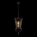 Уличный подвесной светильник Loft IT Tremezzo 100019P BS
