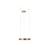 Подвесной светодиодный светильник Loft IT Ring 10013S