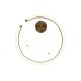 Подвесной светодиодный светильник Loft IT Ring 10013S