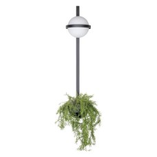 Бра Loft it Jardin 10121W/B