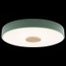 Накладной светильник Loft it Axel 2 10003/24 Green