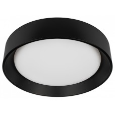 Накладной светильник Loft it Coin 10202 BB