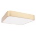 Накладной светильник Loft it Flims 10228/C