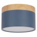 Накладной светильник Loft it Grape 10162 Blue
