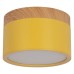 Накладной светильник Loft it Grape 10162 Yellow