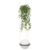 Подвесной светильник Loft it Jardin 10121/1P Dark grey