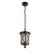 Подвесной светильник Loft it Ravenna 100016P