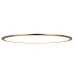 Подвесной светильник Loft it Ring 10014L