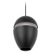 Подвесной светильник Loft it Viterbo 10336 Black