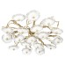 Потолочная люстра Loft it Bloom 10352/1000C AB