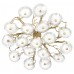 Потолочная люстра Loft it Bloom 10352/1000C AB