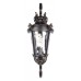 Светильник на штанге Loft it Verona 100003W