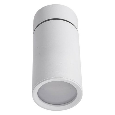 Накладной светильник Lucia Tucci Longo Longo LTP-C007-01GU10-W