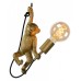 Подвесной светильник Lucide Extravaganza Chimp 10402/01/30
