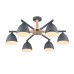 Люстра на штанге Lumion Colange 8096/6C