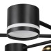 Люстра на штанге Lumion Virsava 8234/8C