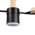 Люстра на штанге Lumion Crypto 8194/5C