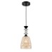 Подвесной светильник Lumion Suspentioni Elenika 8056/1A