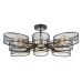 Люстра на штанге Lumion Vivana 8193/8C