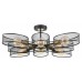 Люстра на штанге Lumion Vivana 8193/8C