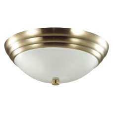 Накладной светильник Lumion Kayla 5262/2C