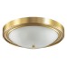 Накладной светильник Lumion Nina 5259/3C