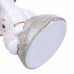 Настольная лампа декоративная Lumion Atlas 8208/1T