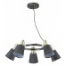 Подвесная люстра Lumion Marcus 3638/5