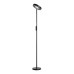 Торшер Lussole Carmel LSP-0901-SE