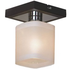 Потолочный светильник Lussole Costanzo LSL-9007-01