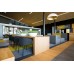 Обеденный стул MDF Italia Achille Grey