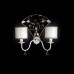 Бра MM Lampadari 6988/A2_V2639